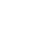 government-icon