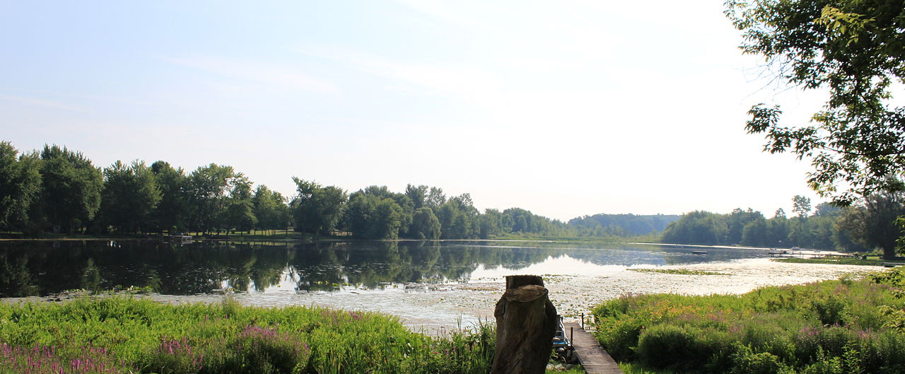 wetlands