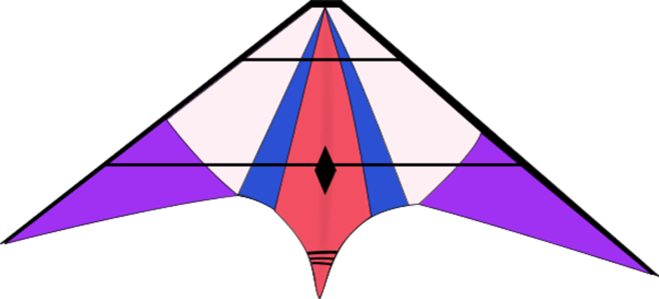 Kite & Rocket Day